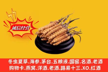 湖州吴兴区名酒回收冬虫夏草.jpg